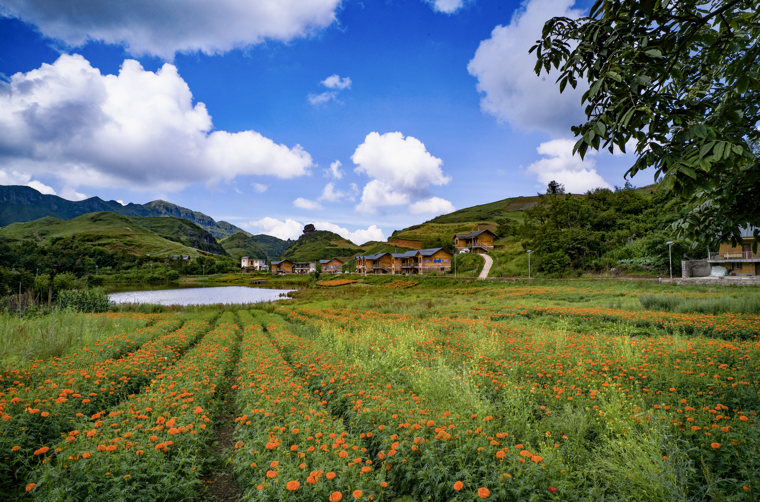 w66.利来(中国区)_来利国际旗舰厅