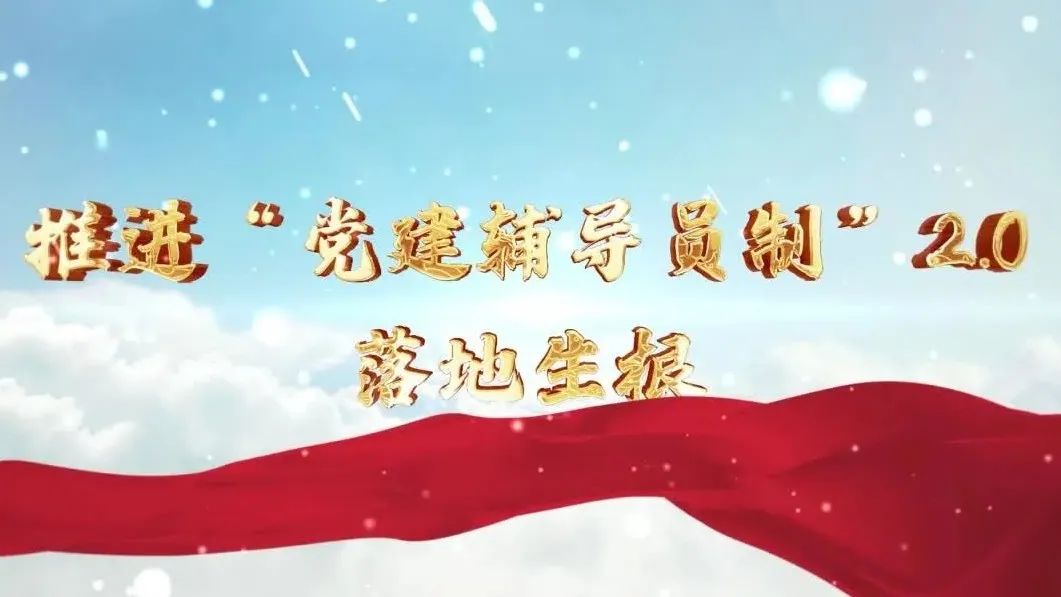  党建经营融合十佳案例④ | 西南水泥——“领导员造”+“进建型组织”，让党建成为看得见的“出产力” 